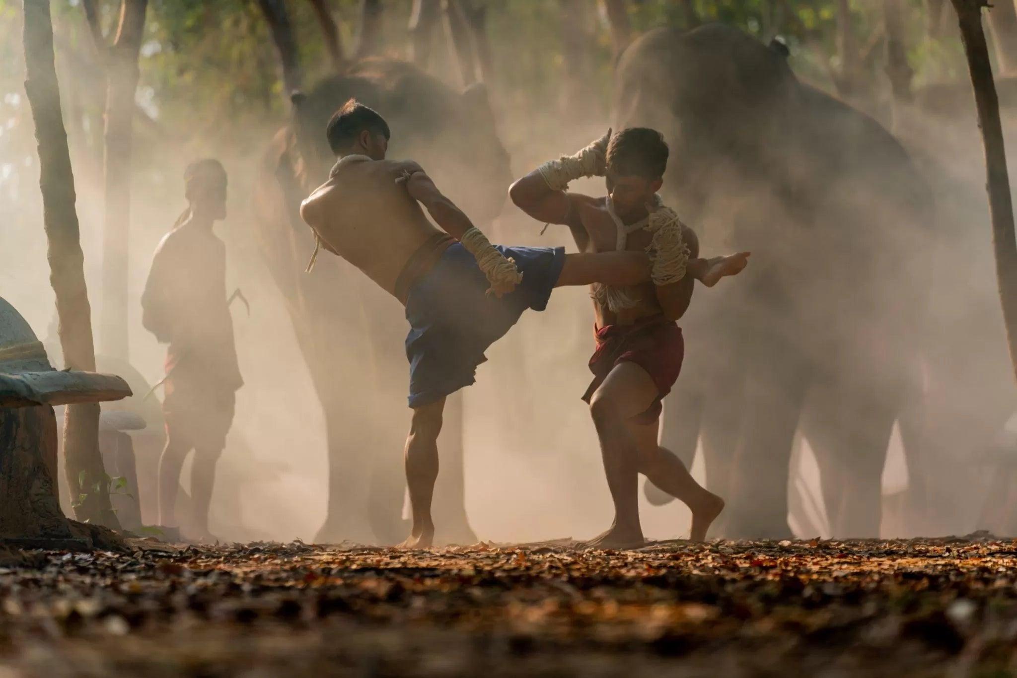 Top 15 Deadliest Martial Arts in the World