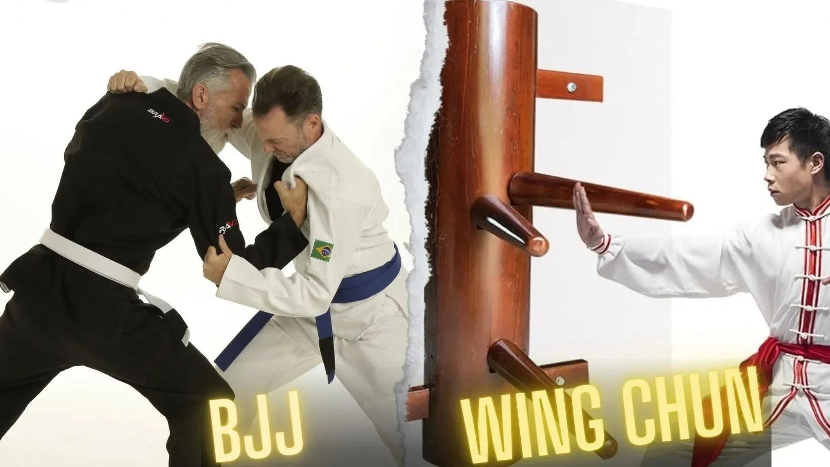 Wing Chun vs Brazilian Jiu Jitsu – A Comparative Study