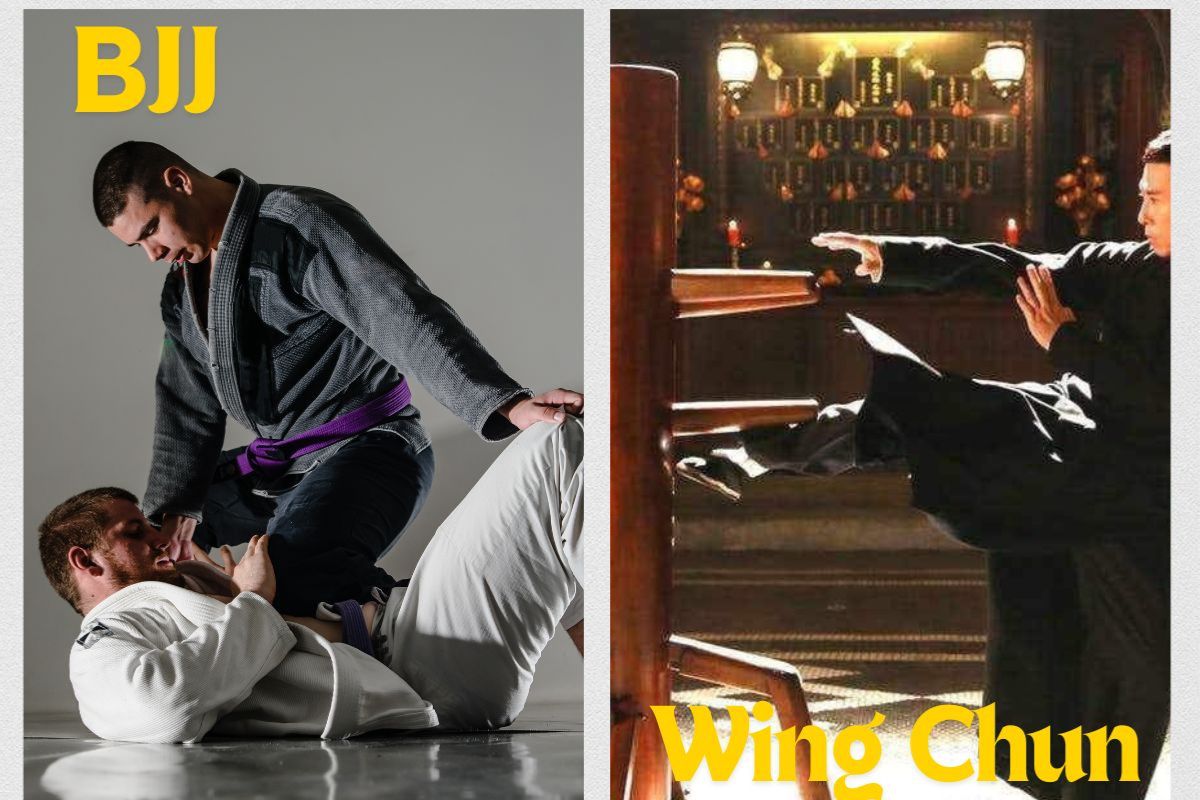 Wing Chun vs Brazilian Jiu Jitsu