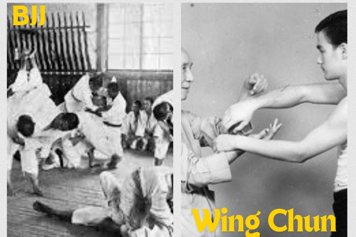 Wing Chun vs Brazilian Jiu Jitsu