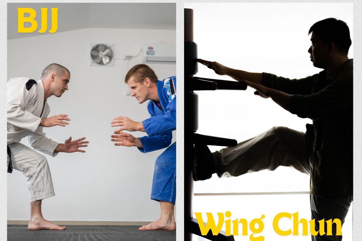 Wing Chun vs Brazilian Jiu Jitsu