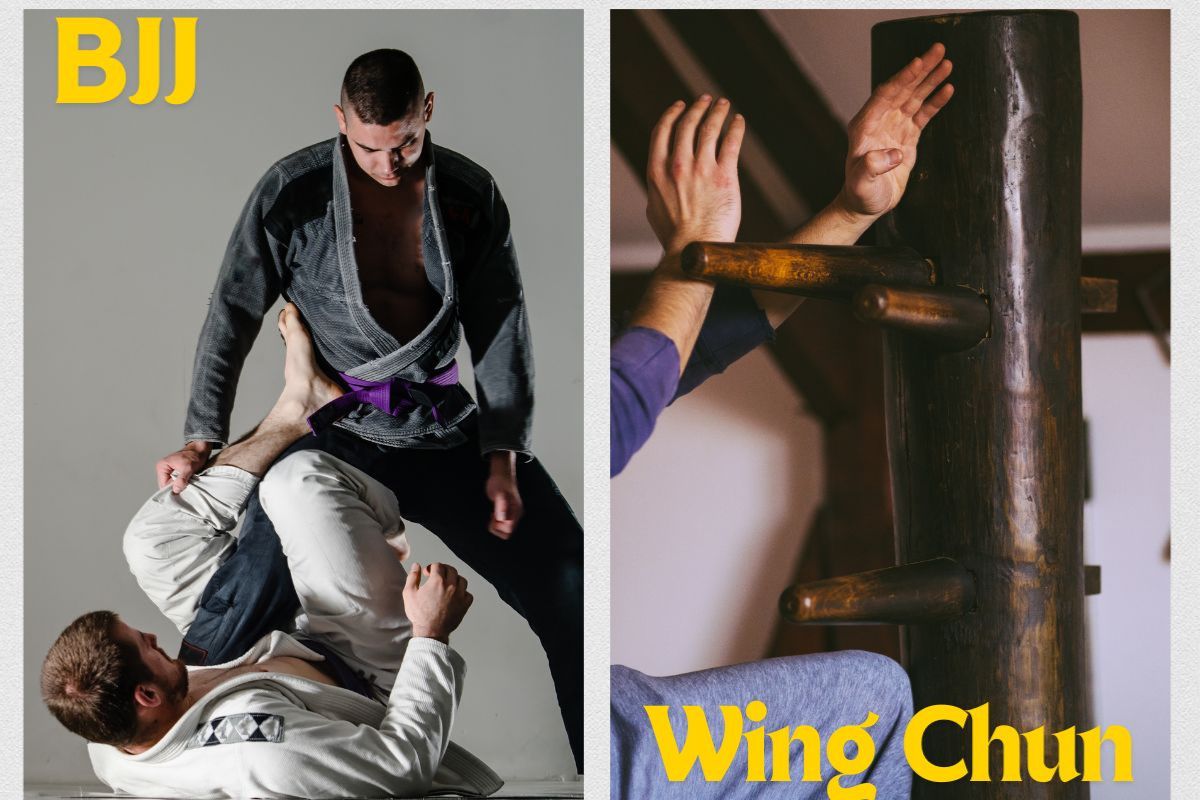 Wing Chun vs Brazilian Jiu Jitsu