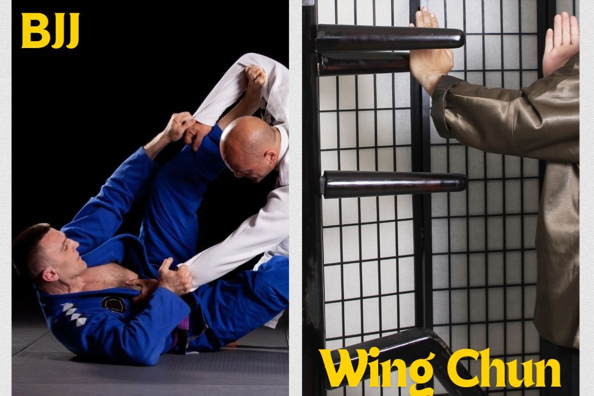 Wing Chun vs Brazilian Jiu Jitsu