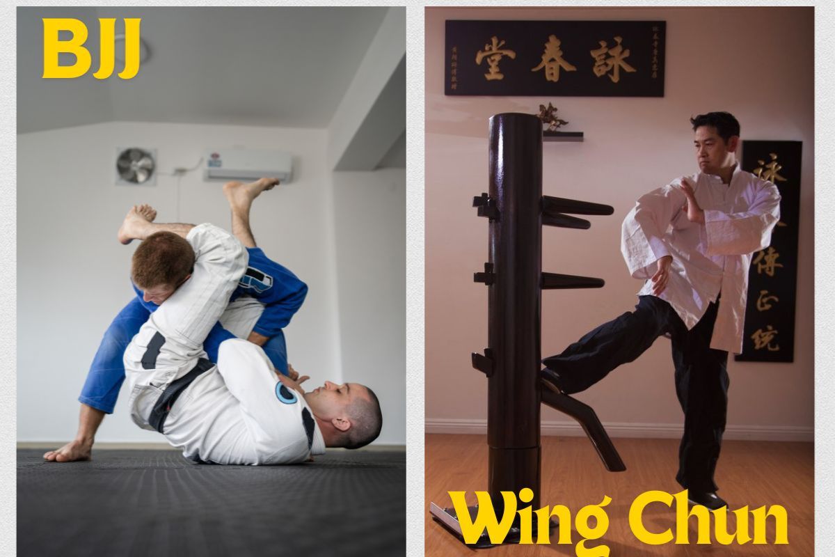 Wing Chun vs Brazilian Jiu Jitsu