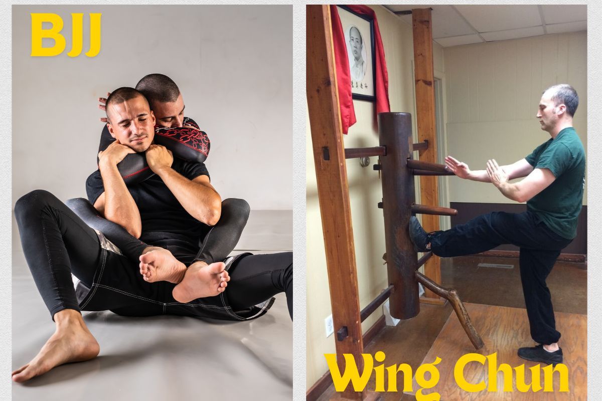 Wing Chun vs Brazilian Jiu Jitsu