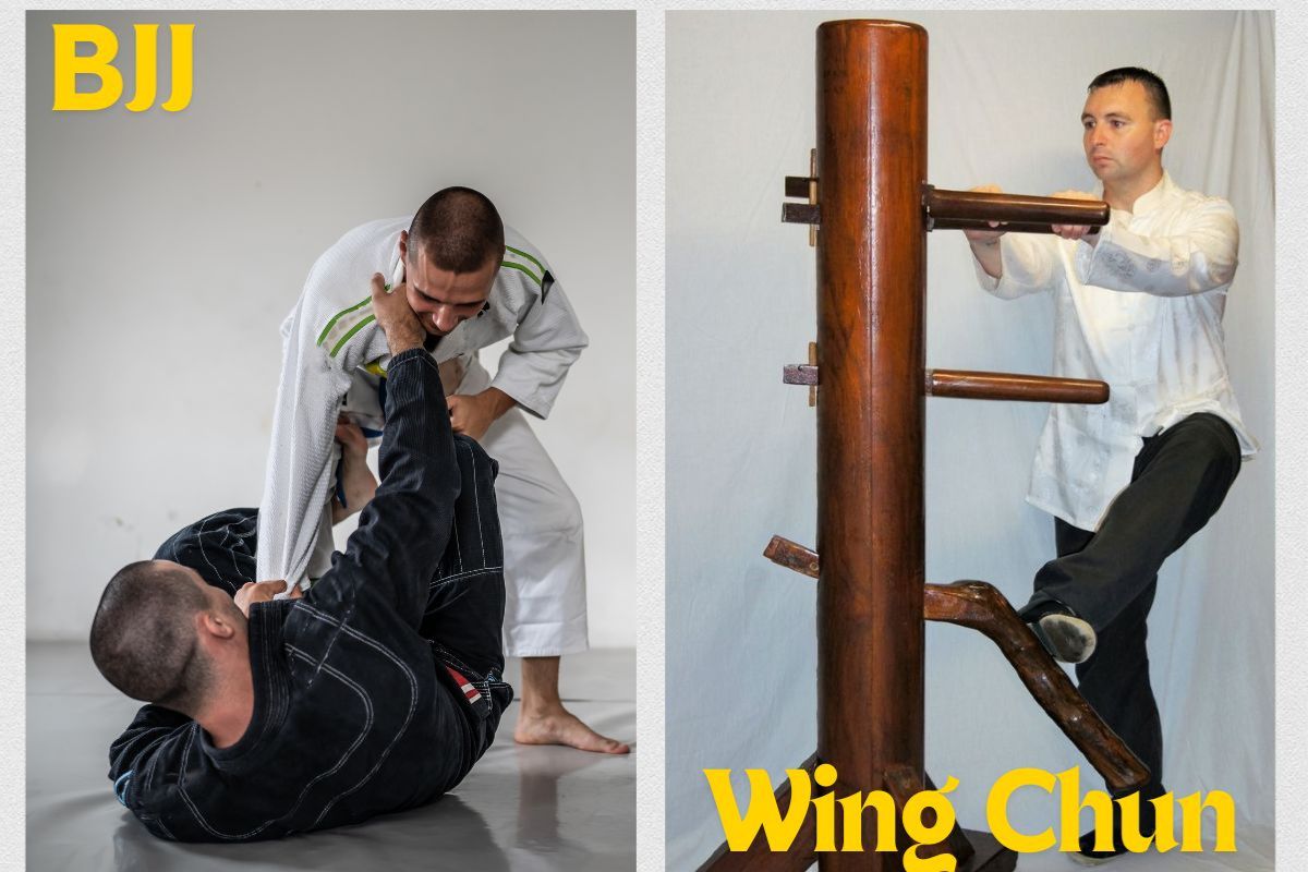 Wing Chun vs Brazilian Jiu Jitsu