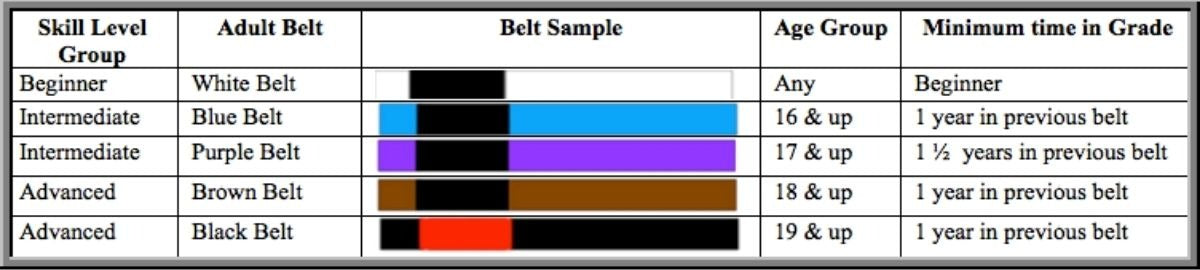 bjj belt system