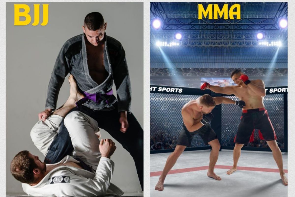 MMA Techniques and Training