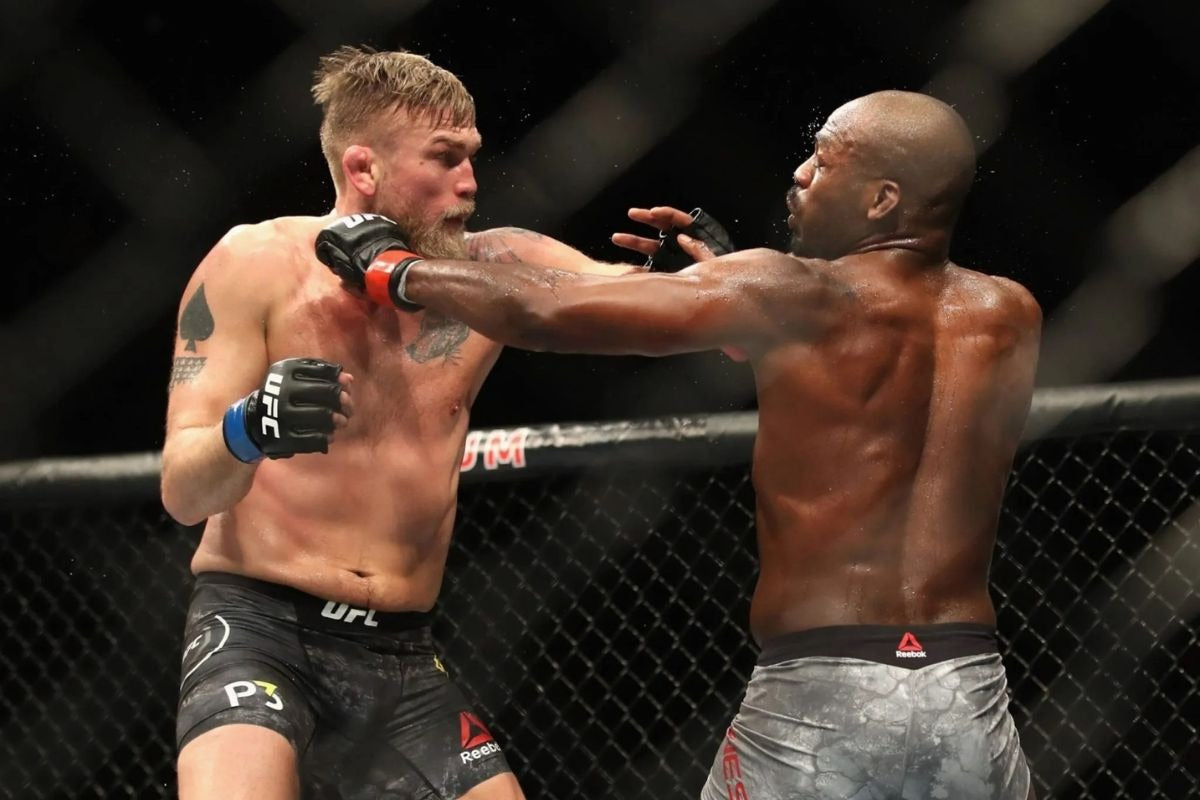Jon jones fight